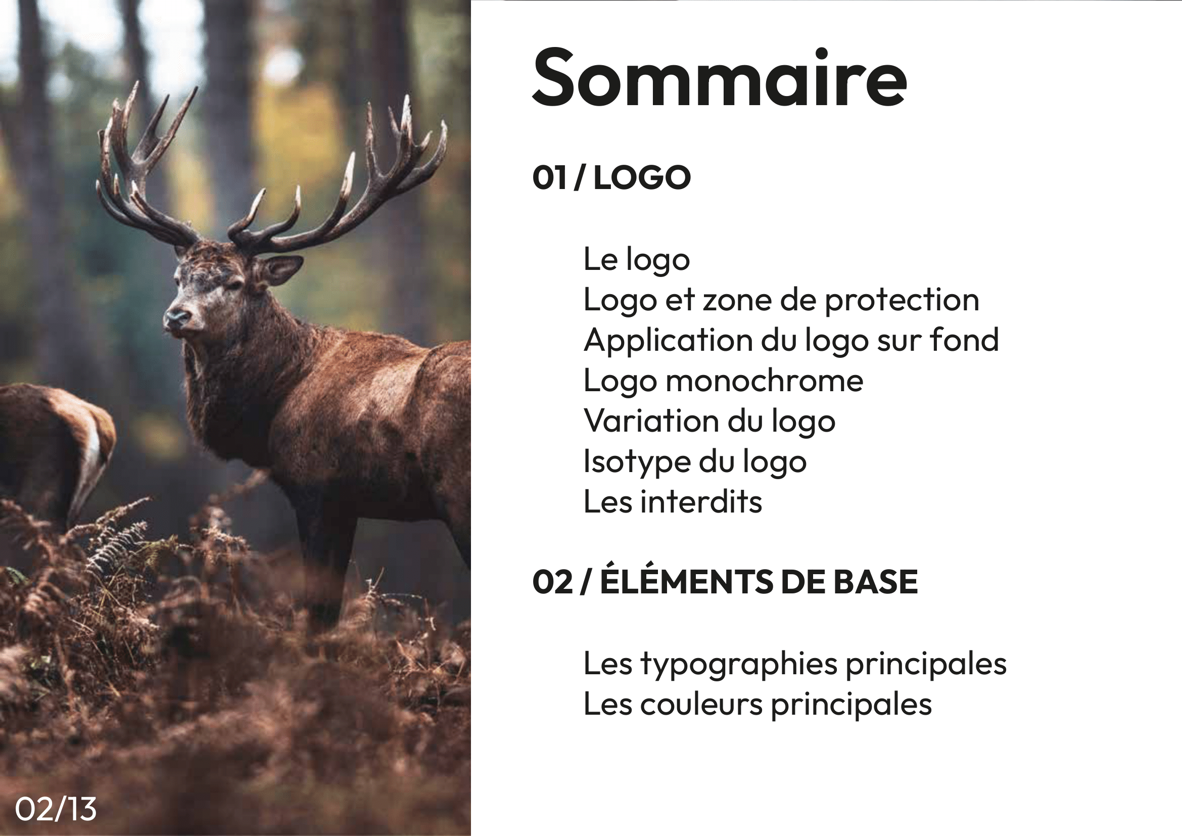 terredia_charte_graphique_page2