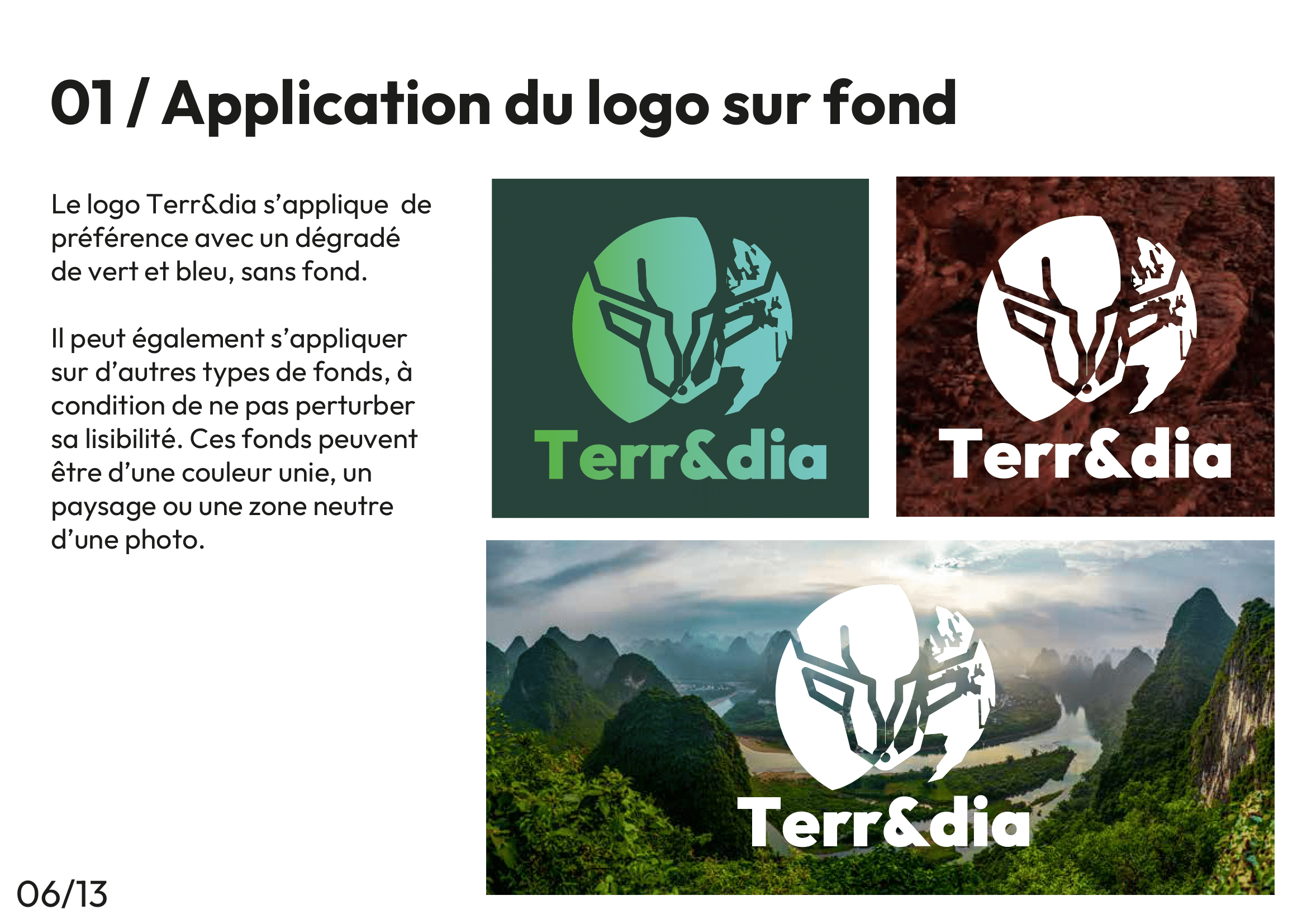 terredia_charte_graphique_page6
