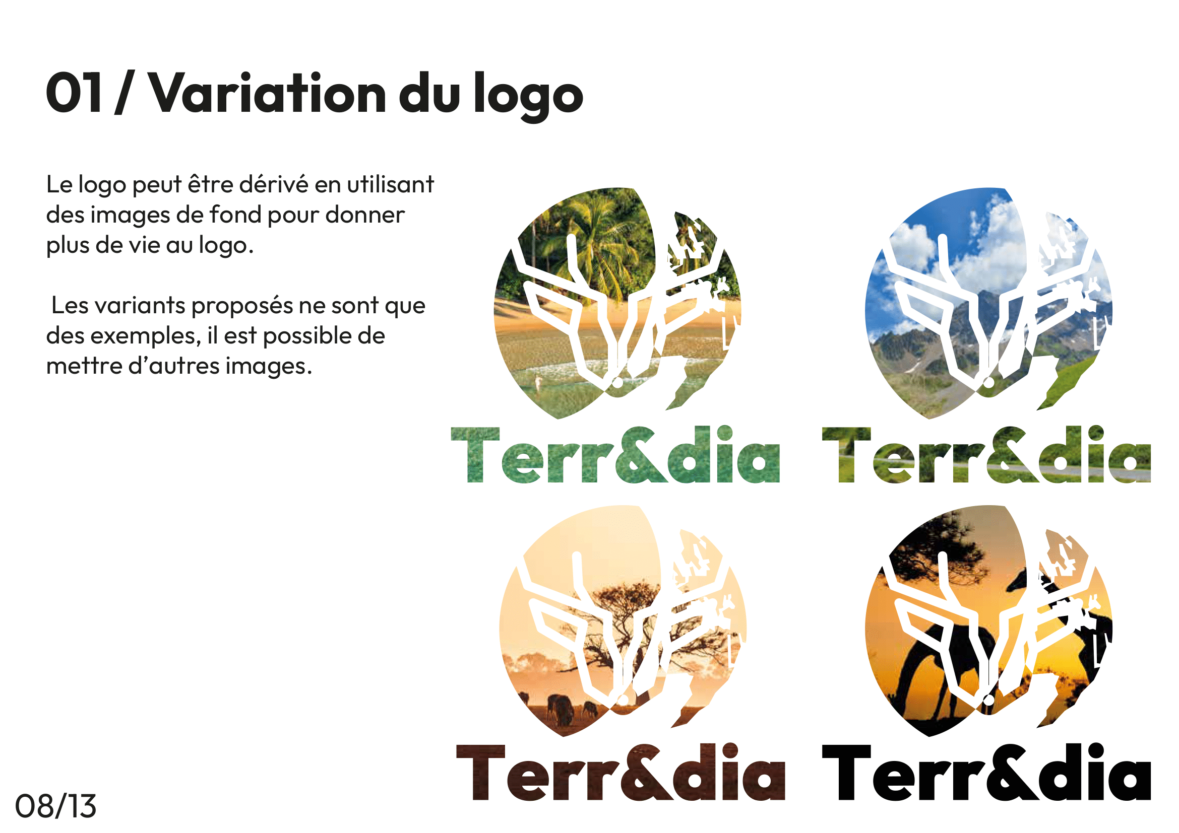 terredia_charte_graphique_page8